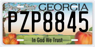 GA license plate PZP8845