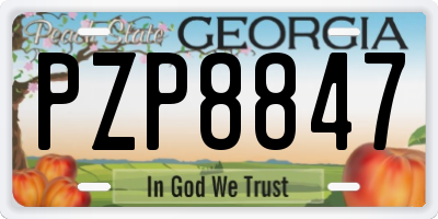 GA license plate PZP8847
