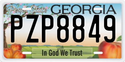 GA license plate PZP8849
