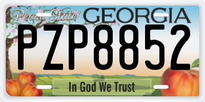 GA license plate PZP8852