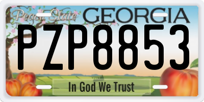 GA license plate PZP8853