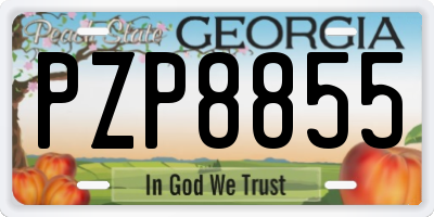 GA license plate PZP8855