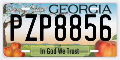 GA license plate PZP8856
