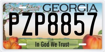 GA license plate PZP8857
