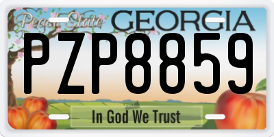 GA license plate PZP8859