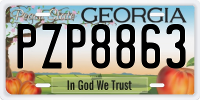 GA license plate PZP8863