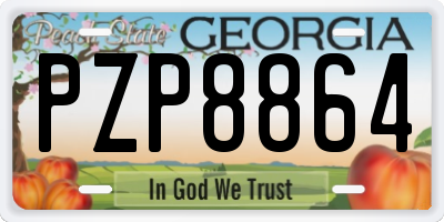 GA license plate PZP8864