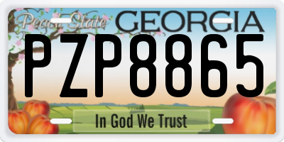 GA license plate PZP8865