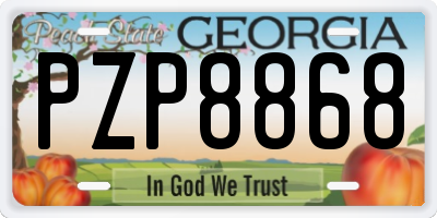 GA license plate PZP8868