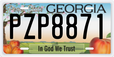 GA license plate PZP8871