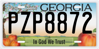 GA license plate PZP8872