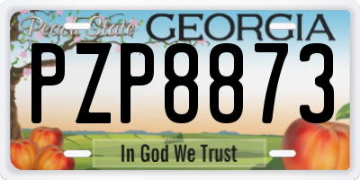 GA license plate PZP8873