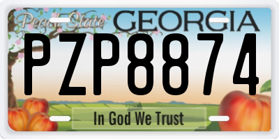 GA license plate PZP8874