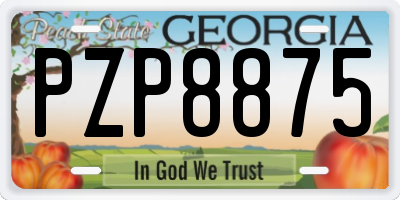 GA license plate PZP8875