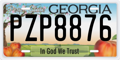 GA license plate PZP8876