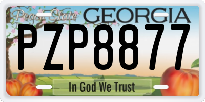 GA license plate PZP8877