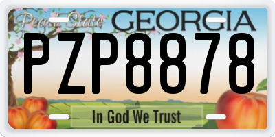 GA license plate PZP8878