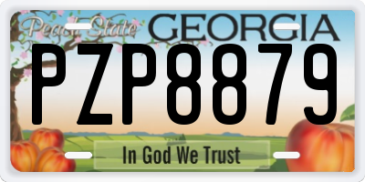 GA license plate PZP8879