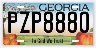 GA license plate PZP8880