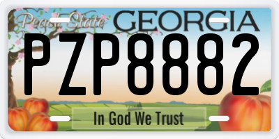 GA license plate PZP8882