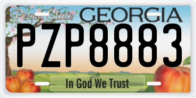 GA license plate PZP8883