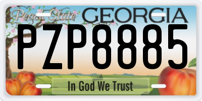 GA license plate PZP8885