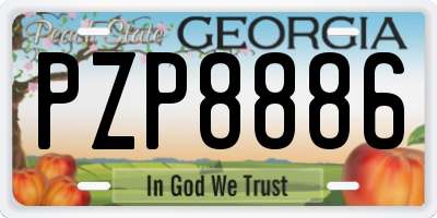 GA license plate PZP8886