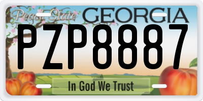 GA license plate PZP8887
