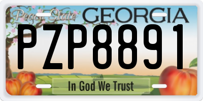 GA license plate PZP8891
