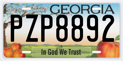 GA license plate PZP8892