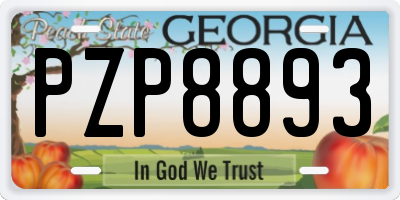 GA license plate PZP8893