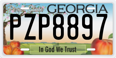 GA license plate PZP8897