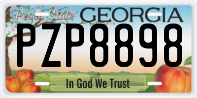 GA license plate PZP8898