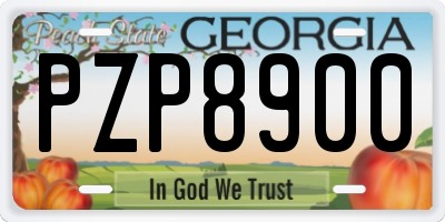 GA license plate PZP8900