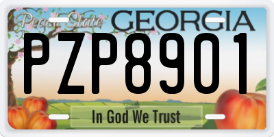 GA license plate PZP8901