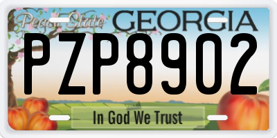 GA license plate PZP8902