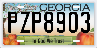 GA license plate PZP8903