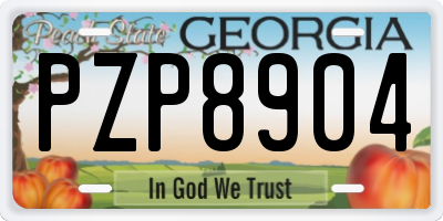 GA license plate PZP8904