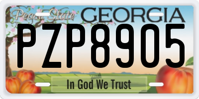 GA license plate PZP8905