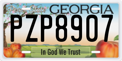 GA license plate PZP8907