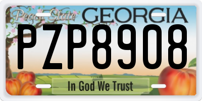 GA license plate PZP8908