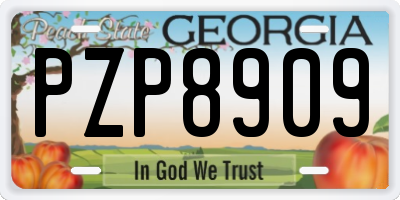 GA license plate PZP8909