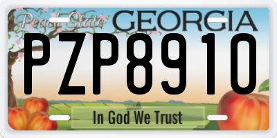 GA license plate PZP8910