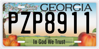 GA license plate PZP8911