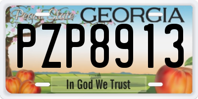 GA license plate PZP8913