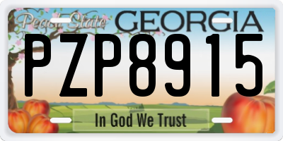 GA license plate PZP8915