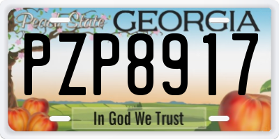 GA license plate PZP8917