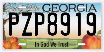 GA license plate PZP8919