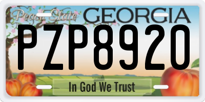 GA license plate PZP8920
