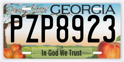 GA license plate PZP8923